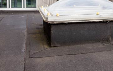 disadvantages of Hagnaby Lock flat roofs