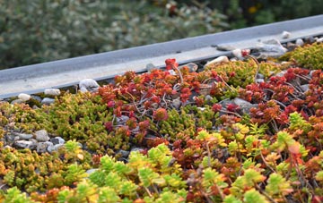 the cost of Hagnaby Lock green roof installation