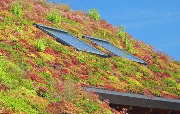 Hagnaby Lock living roof systems